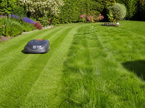 Ungleichmäßig geschnittener Rasen mit Mähroboter im Garten