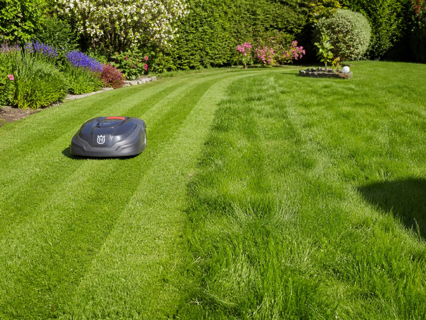 Ungleichmäßig geschnittener Rasen mit Mähroboter im Garten